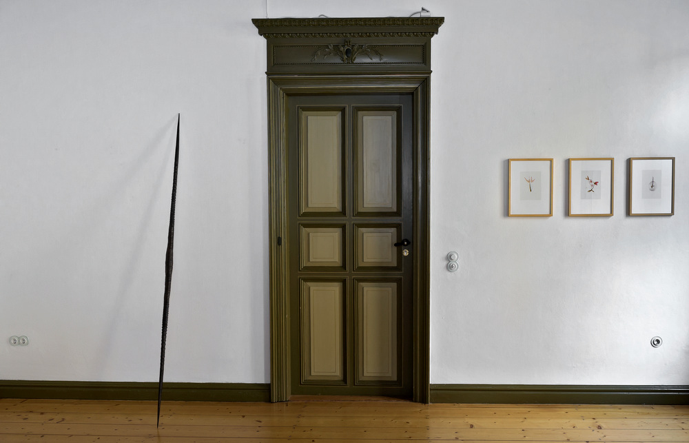 links: Evelyn Möcking, Oryx, 2015, Bronze, 0,06 x 2,25 x 0,06 m  rechts: Daniel Nehring, O.T., (3 Naturstudien), 2016, Tusche auf Folie, 21 x 14 cm